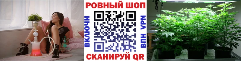 Где купить наркоту Гдов A PVP  Каннабис  МЕФ  Гашиш 