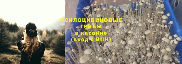 ешки Верея
