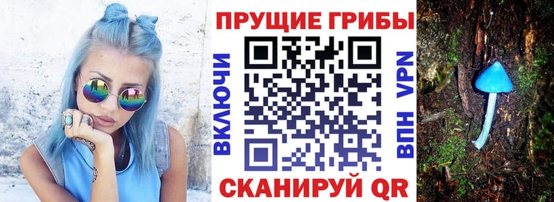 Псилоцибиновые грибы Psilocybine cubensis Гдов